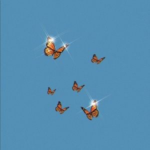 Meet your Posher, Sarina